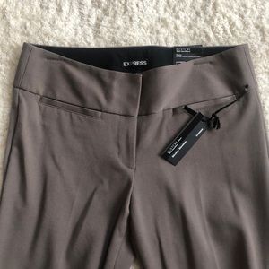 Express Editor Wide Waistband Pants